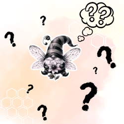 Starter pack Bee - Collection Bee 2025