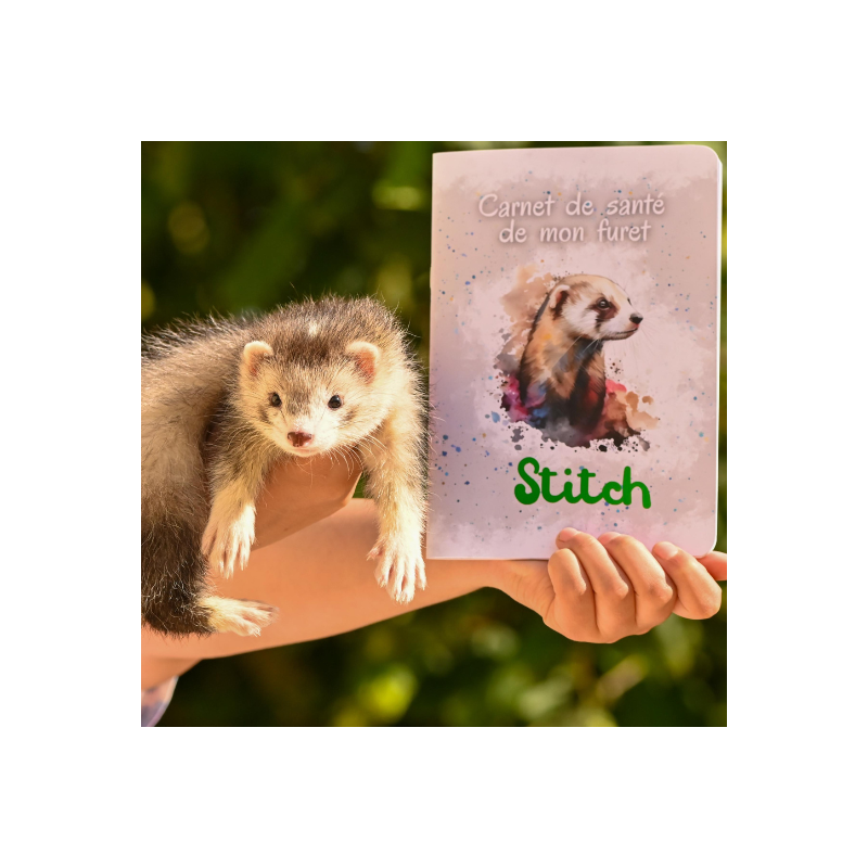 Carnet de santé pour votre furet !