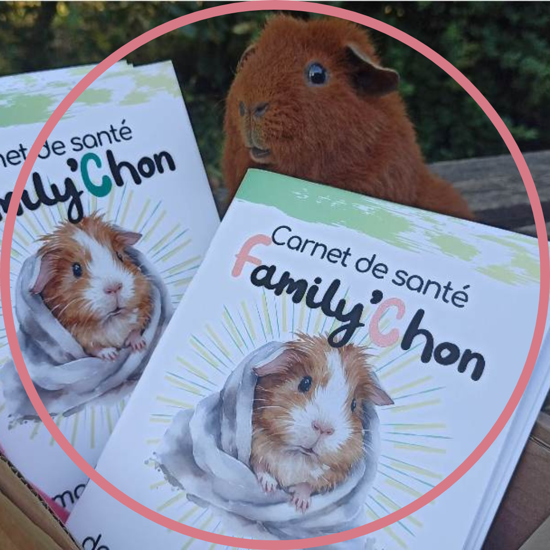 Pour cochons d'inde