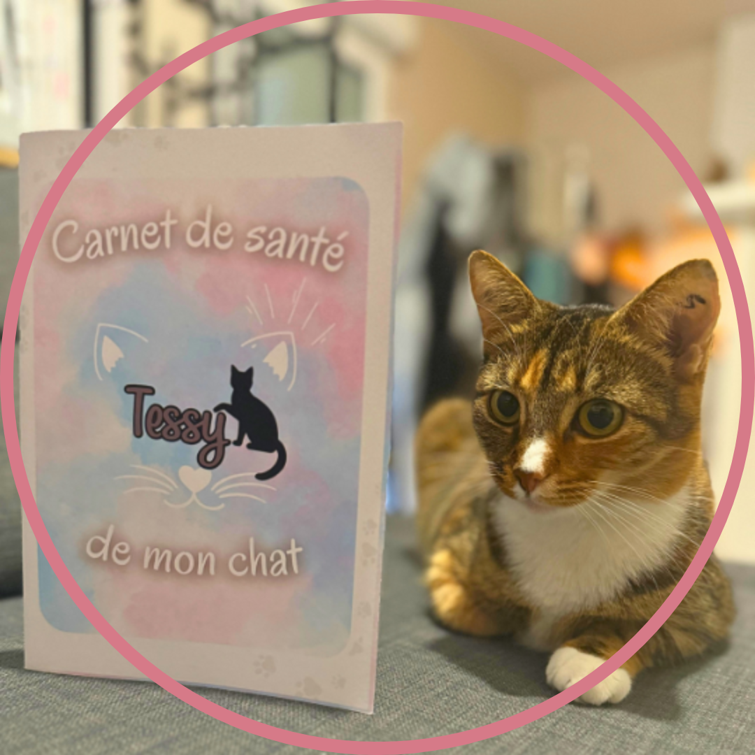 Pour chats
